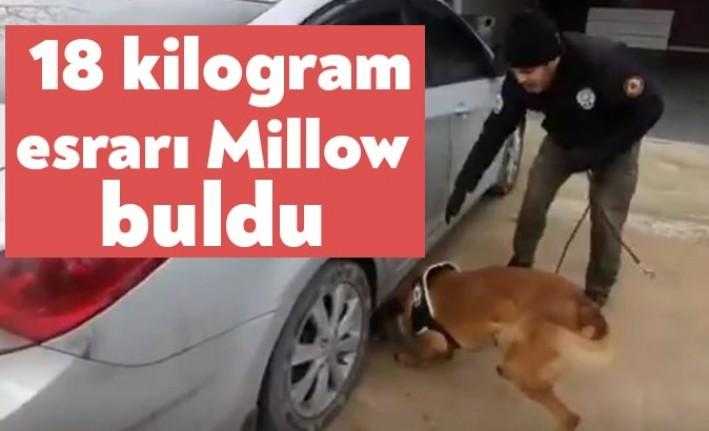 Kocaeli İl Emniyet Müdürlüğü uyuşturucu madde imal ve ticaretine yönelik operasyonda