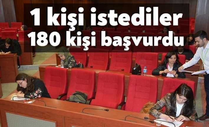  İzmit Belediyesi'nin "1 kütüphane personeli” alımı için açtığı başvuruya 180