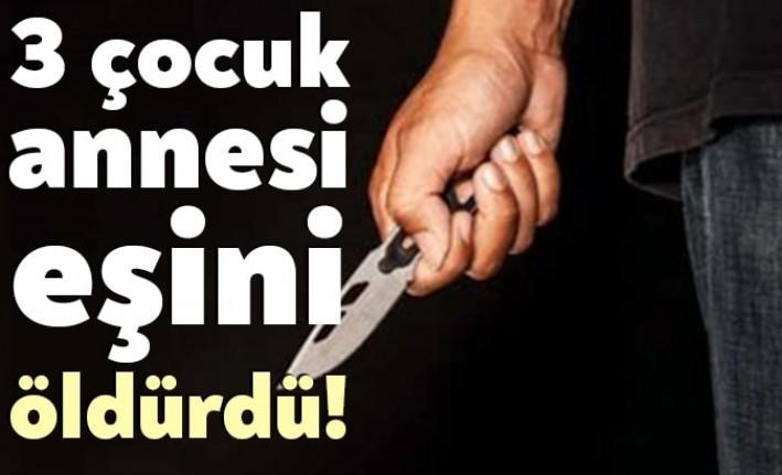 Darıca'da dün gece korkunç bir cinayet işlendi. Mustafa Yıldırım adlı