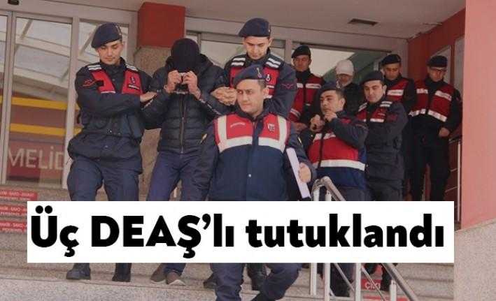 Kocaeli İl Jandarma Komutanlığı, DEAŞ silahlı terör örgütü mensubu üç