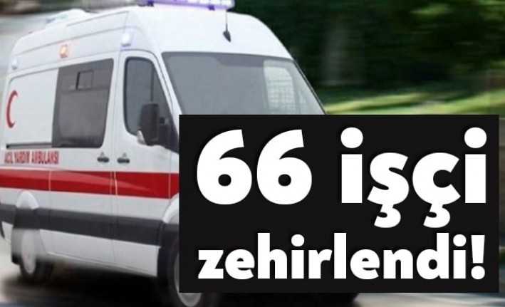 İzmit Alikahya bölgesinde faaliyet gösteren bir fabrikada çalışan işçiler yedikleri