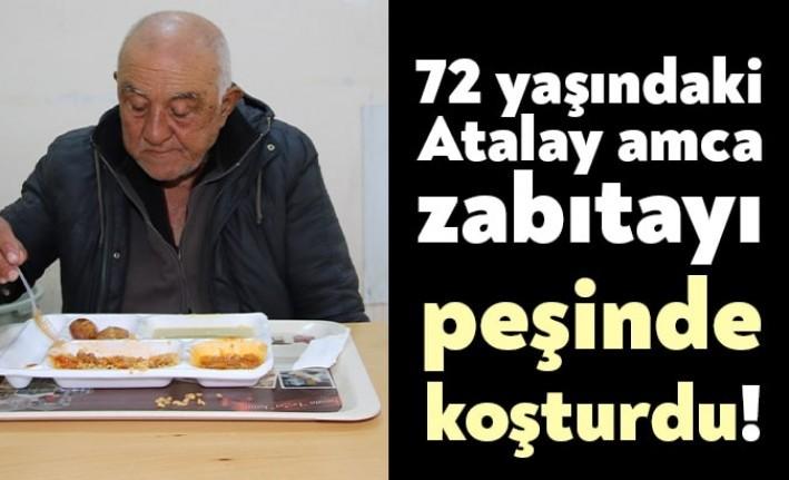 İzmit ilçesinde parklarda yaşayan ve Barınma Evine götürülmek istenen 72