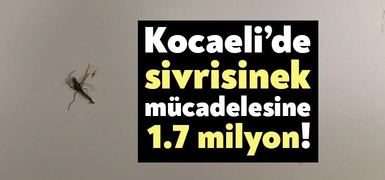Yaz aylarının yaklaşmasıyla birlikte sivrisinekler büyük bir sorun haline geliyor.