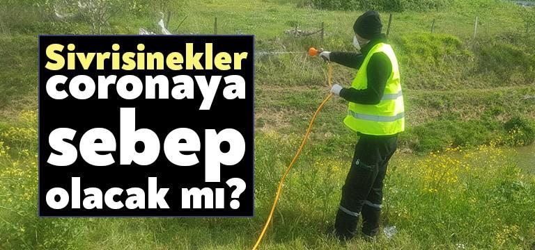 Hava sıcaklıkları mevsim normallerine döndü. Toprak ısınıyor, su ısınıyor, hava