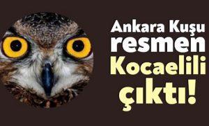 Ankara Kuşu Oktay Yaşar tutuklandı!