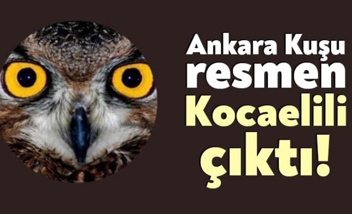 Ankara Cumhuriyet Başsavcılığı’nca başlatılan soruşturma kapsamında, sosyal medya hesabı üzerinden