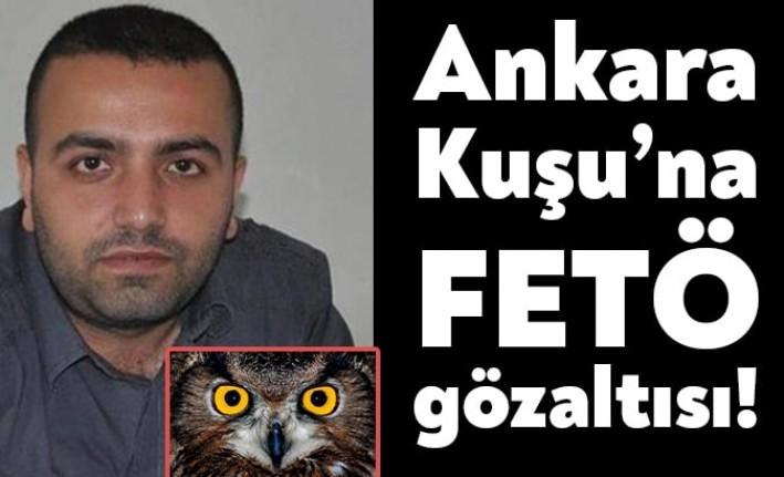 "Ankara Kuşu" olarak bilinen Twitter fenomeni FETÖ soruşturması kapsamında Kocaeli'de