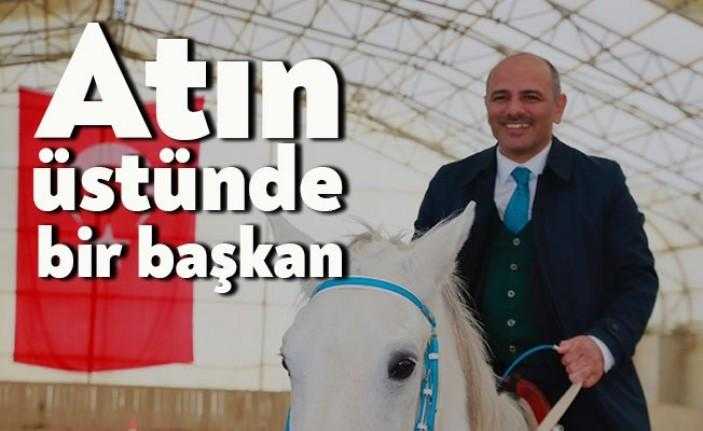 Körfez Belediye Başkanı Şener Söğüt, Miraj Atlı Yaşam ve Binicilik