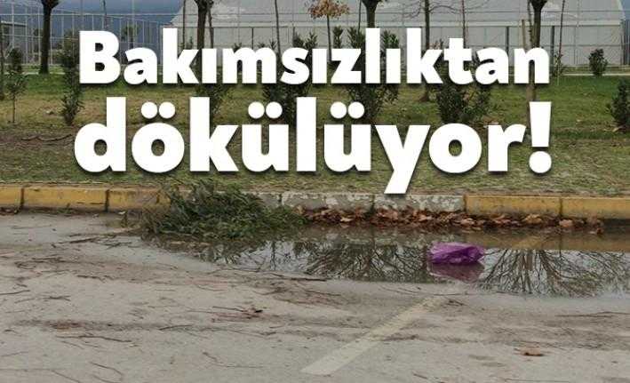 Körfez Yarımca sahilinde bazı alanların temizliği ve bakımı ihmal ediliyor.