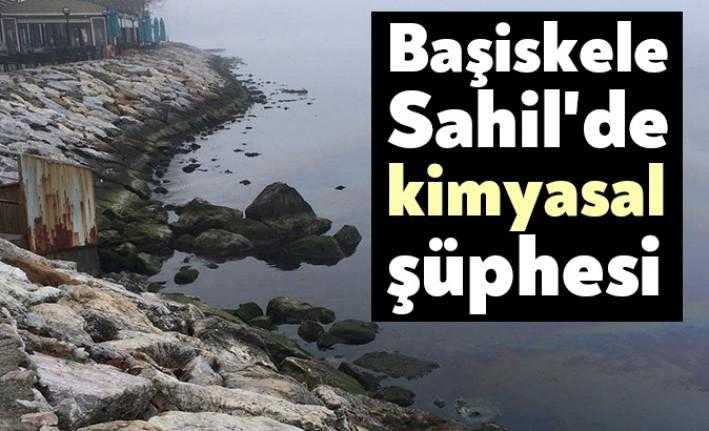 İzmit Körfezi'nin Başiskele Sahili bölümünde kıyıya vuran koyu renkli tabaka