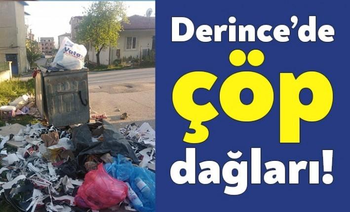 Derince Belediyesi en temel görevlerinden biri olan 'temizlik' görevini aksatmaya