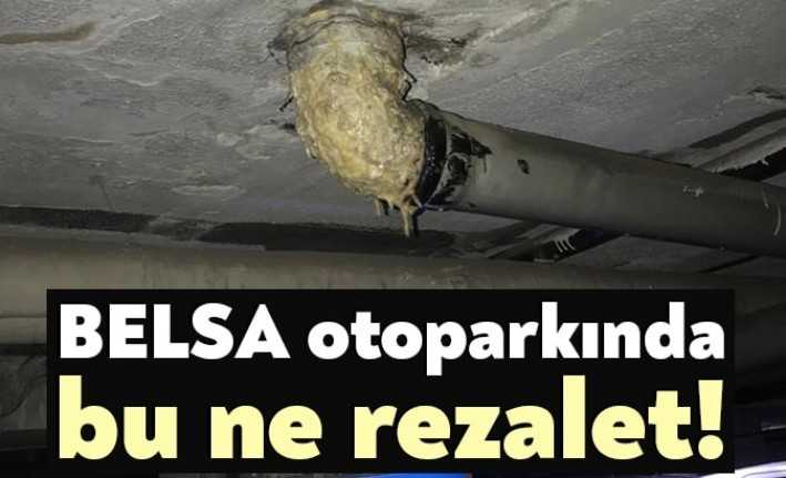 Her gün binlerce araçtan para kazanan BELSA Otoparkı'nda, bir tuvalet