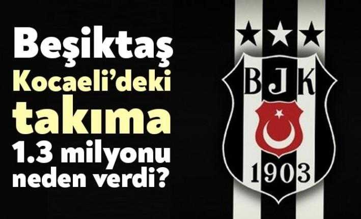 Beşiktaş’ın, Kocaelibirlik Spor’a 1.3 milyon lira ödediği karşılığında hiçbir şey