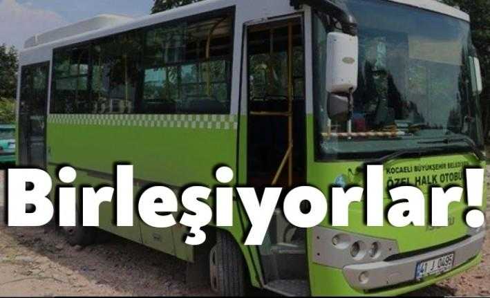 Kocaeli Büyükşehir Belediyesi ulaşım araçları ve özel halk otobüsleri İzmit’te