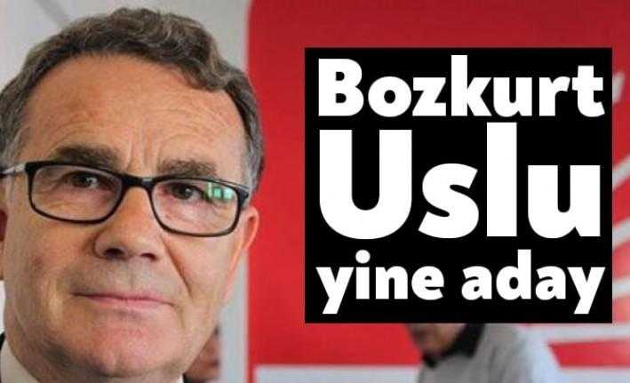 CHP'li Bozkurt Uslu, il başkanlığına aday olduğunu ilan etti ve