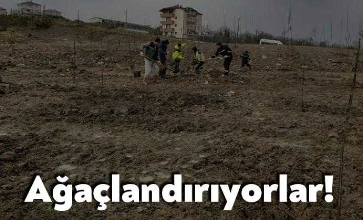 Kocaeli Büyükşehir Belediyesi Kandıra’da bir dolgu alanını Kent Ormanı ilan