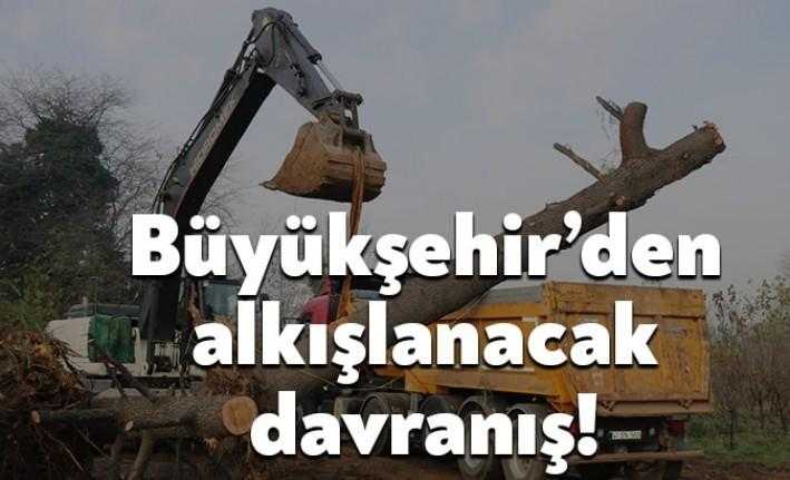 İbrahim Karaosmanoğlu döneminde çeşitli ağaç kesimleriyle gündeme gelen KBB alkışlanacak