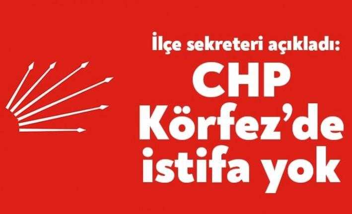 CHP Körfez İlçe Sekreteri Alettin Karatekin, ilçe yönetiminden iki ismin