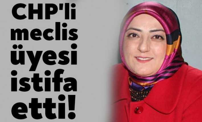 CHP Darıca Belediye Meclis Üyesi Göknur Bektaş, CHP'den istifa ettiğini