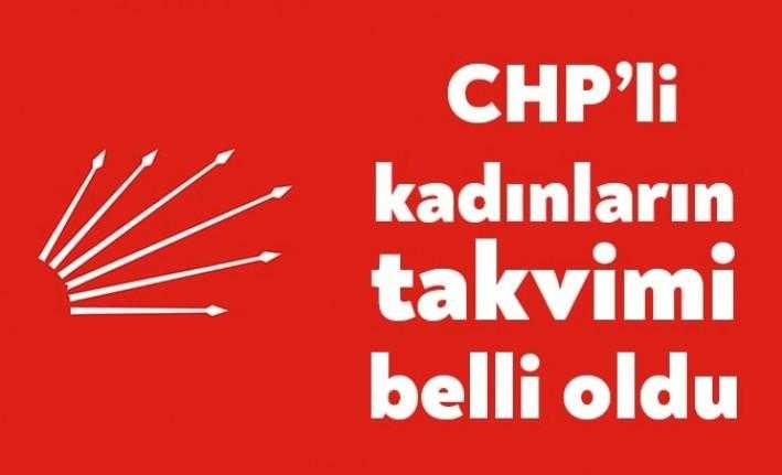 CHP Kocaeli İl Kadın Kolları Başkanı Songül Kaya, yazılı bir
