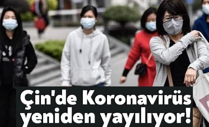 Yeni tip koronavirüs (Kovid-19) salgınının ortaya çıktığı Çin ana karasında,