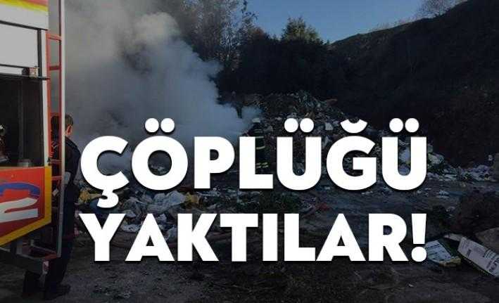 Körfez Belediyesi’nin Yavuz Sultan Selim Mahallesi’nde bulunan çöplüğü, sorumsuz şahıslar