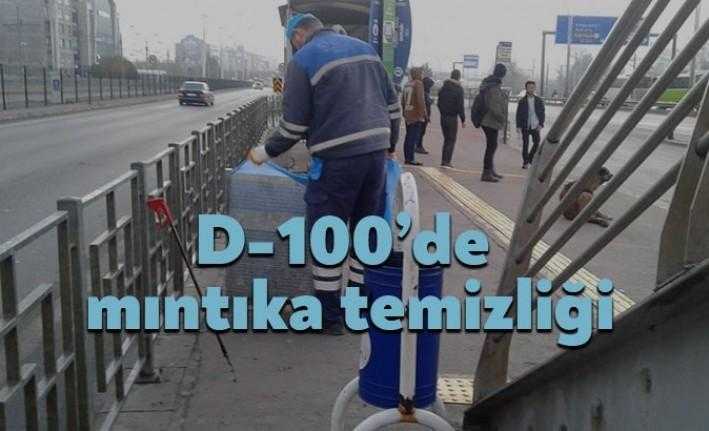 Büyükşehir Belediyesi ekipleri, D-100 karayolu çevresinde mıntıka temizliği yaptı.