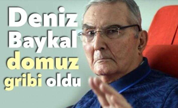 CHP eski Genel Başkanı Deniz Baykal'ın domuz gribi" olarak bilinen Influenza