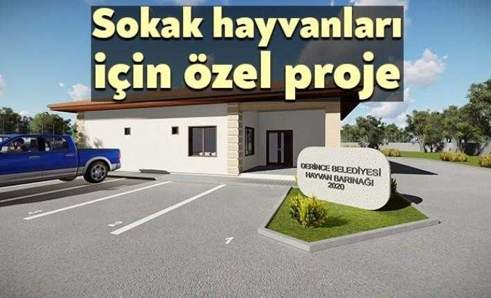 Derince'de Sokak Hayvanları Rehabilitasyon Merkezi'nin projesi bitti. Proje tamamlandığında sokak
