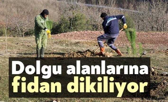Kocaeli Büyükşehir Belediyesi, İzmit ilçesi Sepetçi köyünde bulunan dolgu alanına,