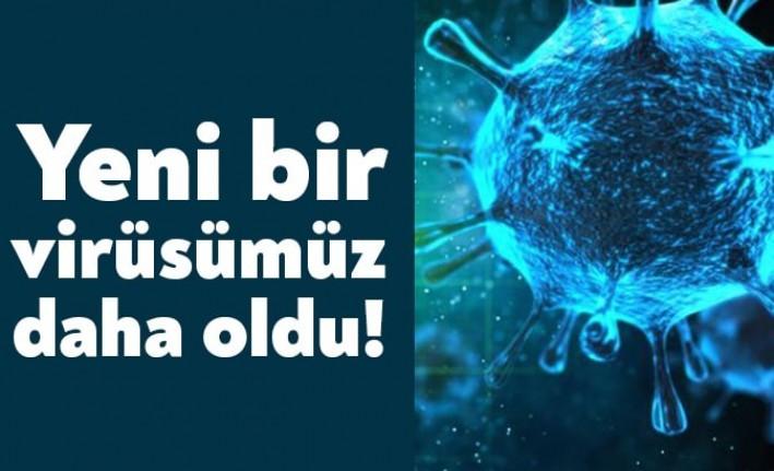 Çin'e yakınlığıyla bilinen ve İngilizce yayın yapan Global Times'ın haberine