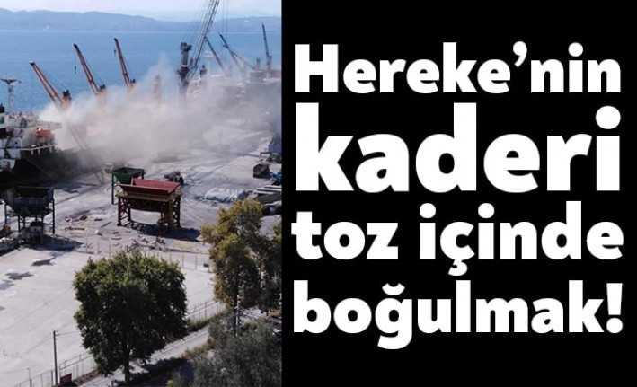 Körfez Hereke’de bulunan Nuh Çimento fabrikası limanından bulunan gemilere yük