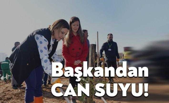 İzmit Belediye Başkanı Av. Fatma Kaplan Hürriyet, ÇEVKO ile işbirliğinde