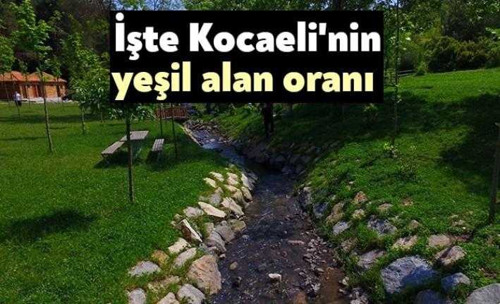 Kocaeli’de yeşil alan miktarı 2019 yılında 783 bin 959 metrekare