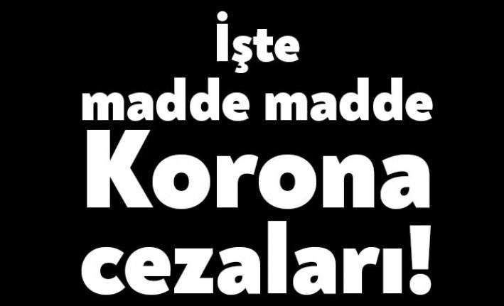 Koronavirüs tedbirleri kapsamında alınan karalara uymayanlara verilecek cezalar da belli