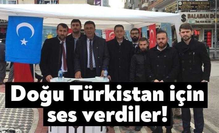 İyi Parti Gölcük İlçe Gençlik Kolları Doğu Türkistan’daki zulme karşı
