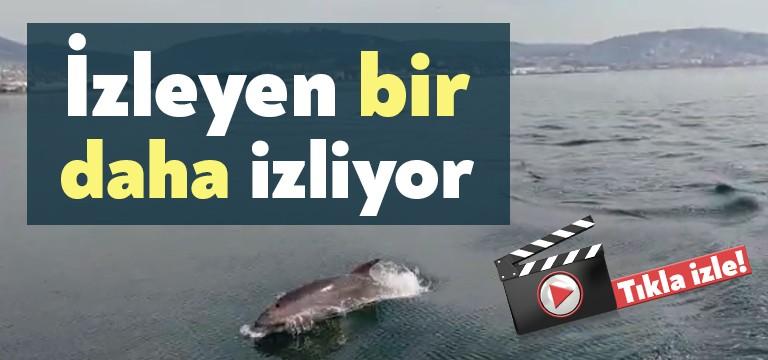 Kocaeli Büyükşehir Belediyesi ekipleri, bugün İzmit Körfezi’ne muhteşem bir görüntü