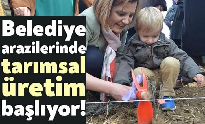 İzmit Belediye Başkanı Fatma Kaplan Hürriyet, belediyenin arazilerinde tarımsal üretim