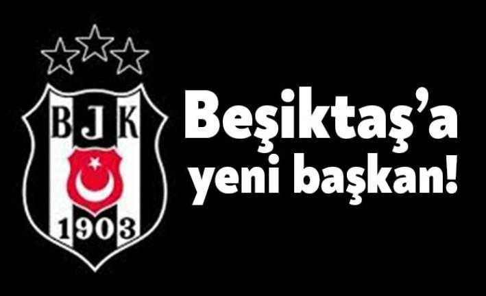İzmitli Mehmet Hakan Ensari, İzmit Beşiktaşlılar Derneği'nin yeni başkanı oldu.