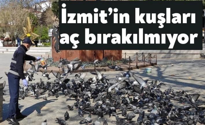 İzmit Belediyesi zabıta ekipleri sokağa çıkma yasağı nedeniyle boş kalan