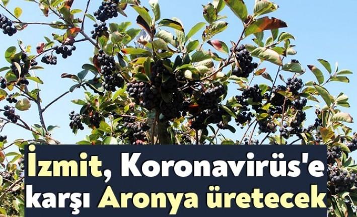 Koronavirüs ile mücadelede kapsamında İzmit Belediyesi, antioksidan hazinesi olarak bilinen