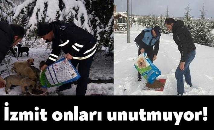 İzmit Belediyesi soğuk kış günlerinde sokak hayvanlarını unutmuyor. Belediyenin zabıta