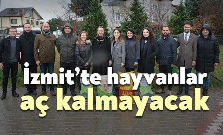 İzmit Belediyesi ve Kocaeli Barosu, sokak hayvanları için ilçenin birçok