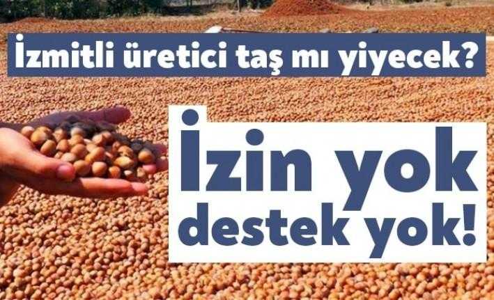 İzmit Akmeşe bölgesindeki fındık üreticilerle ilgili soruları yanıtlayan Tarım ve