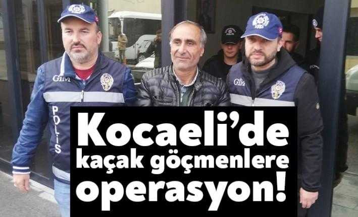 Kocaeli'de kaçak olarak bulunan ve izinsiz işlerde çalışan göçmenlere yönelik