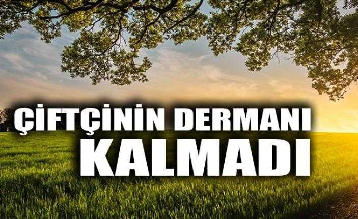 Kandıra’da bulunan tarlalar, mahkeme tarafından icra yoluyla satışa çıkarılıyor. Zor