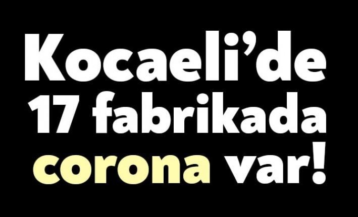EMEP Kocaeli İl Başkanı Arzu Erkan Kocaeli'de 17 fabrikada 67 corona