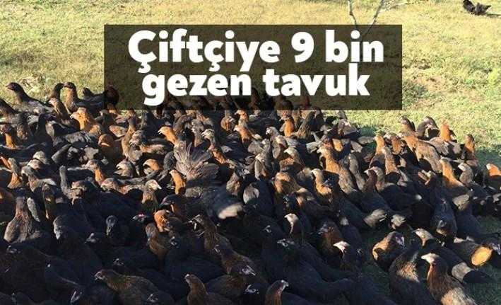 Kocaeli'de çiftçilere bir yılda yüzde 50 hibe destekli 9 bin