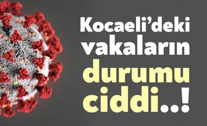 Toplam vaka sayısı 1.702 olan Kocaeli'nin Sağlık Bakanlığı tarafından açıklanan