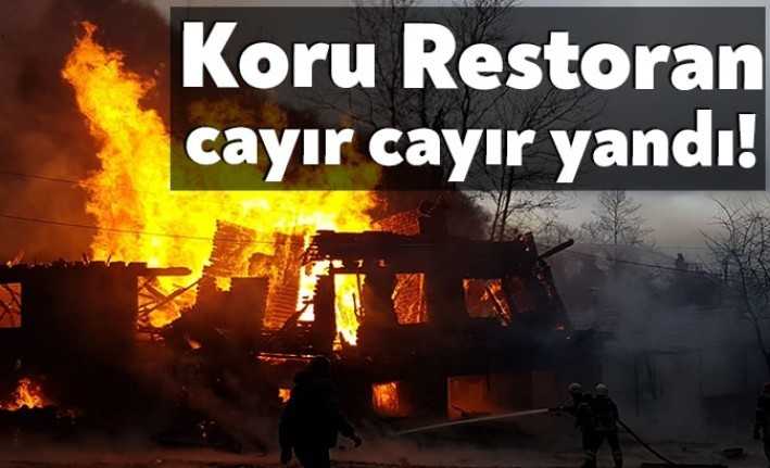 Kartepe'nin meşhur işletmelerinden biri olan Koru Restoran, çıkan yangın nedeniyle